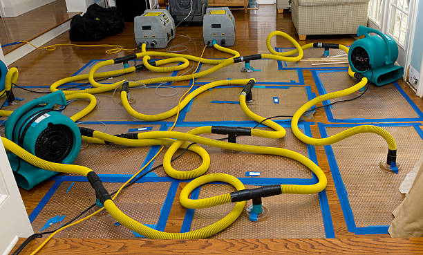 Professional Sewage Cleanup technician working in Cameron, WI